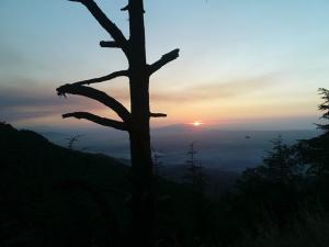 ARIZONA à Blida Chrea