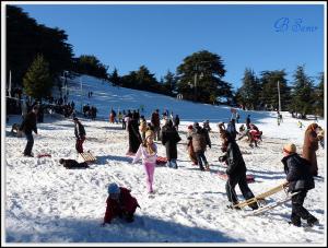 Plaisirs de la glisse Chrea  Blida