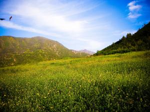 Maqtaa Lazrag [Hammam Melouane], Blida