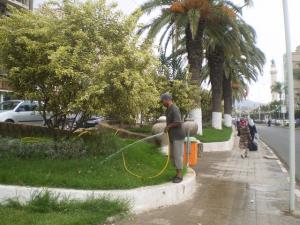 Prendre soin des espaces verts