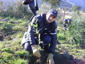 Association les amis de Chréa