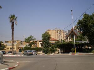 Nouveau palmier à  Sidi Yacoub