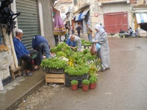 Du côté de placette laârab