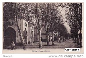 BLIDA - Bd nord   colonel lotfi