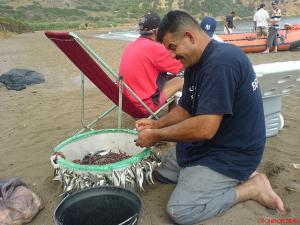 Gargadj Préparation palangrote