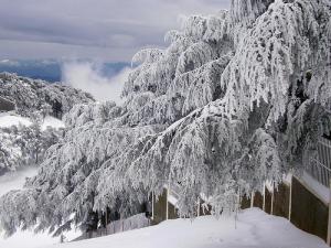 Si Si .. vous etes  à Chrea