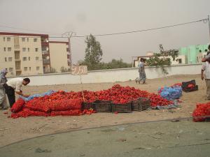 Poivron rouge à  la veille du Ramadan