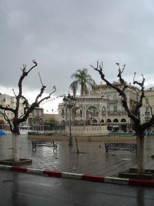 Arbres gardiens du kiosque