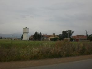 Champ de Blé à Bourkika
