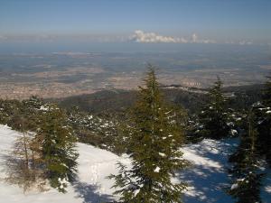 Plaine de la Mitidja