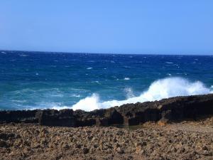 Belle journee du debut d'été
