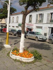 Ramassage Des Bigarades