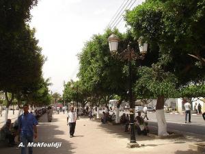 Fallait-il couper les branches ?