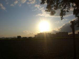 Coucher de Soleil sur Blida