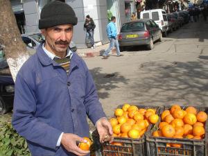Un pépin de bigarade