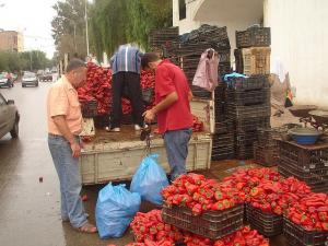 Poivron de saison