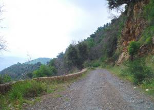 Tamezguida - route de Dhaya