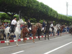 Cavalerie pour accueillir le Président