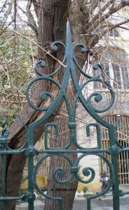 Porte du Lycée El Feth