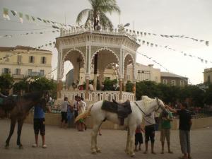 Chevaux à la  Placette Ettoute