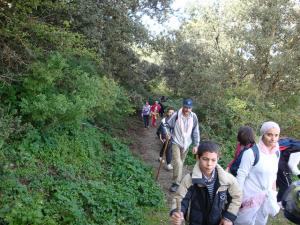 Randonnée écologique