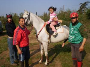 Un jeudi printanier, même pour les chevaux