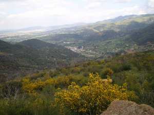 Vue à  partir de la route de Chréa