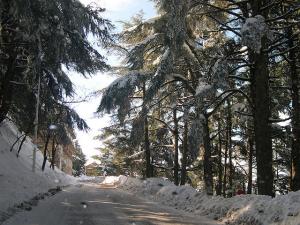 Chrea, au Nord de l'Algerie