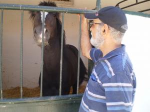 Envie de parler, envie de sortir