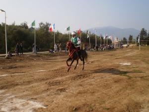 Pleine nature à Maramane