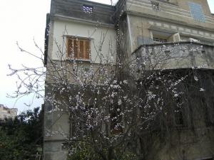 Le printemps s'annonce