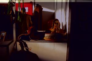 le 1er festival nle du tourisme équestre tiaret du 1 novembre au 4 novembre 2011