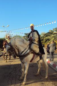 le 1er festival nle du tourisme équestre tiaret du 1 novembre au 4 novembre 2011