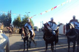 le 1er festival nle du tourisme équestre tiaret du 1 novembre au 4 novembre 2011