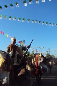 le 1er festival nle du tourisme équestre tiaret du 1 novembre au 4 novembre 2011