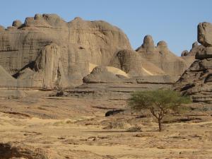 Tamanrasset
