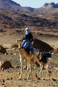 Tuareg rider
