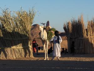 Tuareg village, Dallagh, Hoggar
