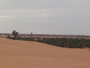 palmeraie,el barka