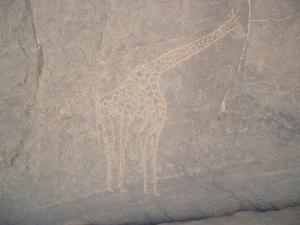 Giraffe manuscrit