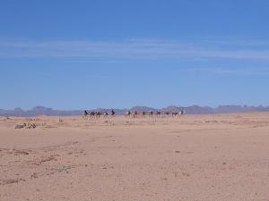 L'oued Aouere, direction Zaouten Laz