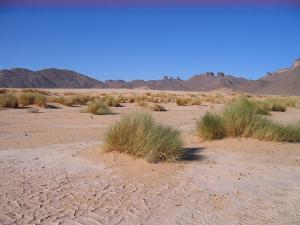 Du côé d'Essendiline