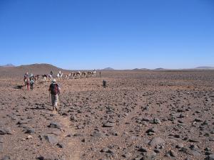 Sortie du Tafassasset, en direction de Zaouten Laz