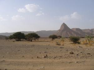 Tamanrasset