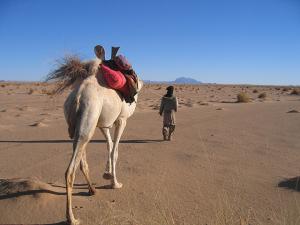 La traversée du Tafassasset  tout droit, direction le Tazat