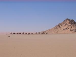 Caravanne sur fond d'erg Admer