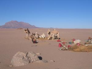 Camp du soir au milieu du Tafassasset