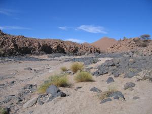 Premiers contrastes saisissants dans le fond de l'oued Tagleft