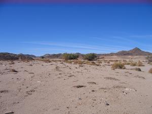 Le fond de l'oued Zerzerou