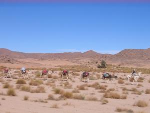 Caravane des chameaux